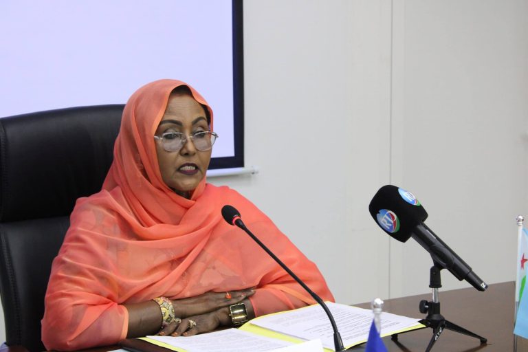 Strengthening Parliamentary Dialogue: Working Visit of the French IHEDN Delegation to the Djibouti National Assembly